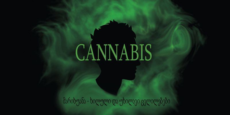 Public lecture - Marijuana/ Cannabis - Visible and Invisible Changes