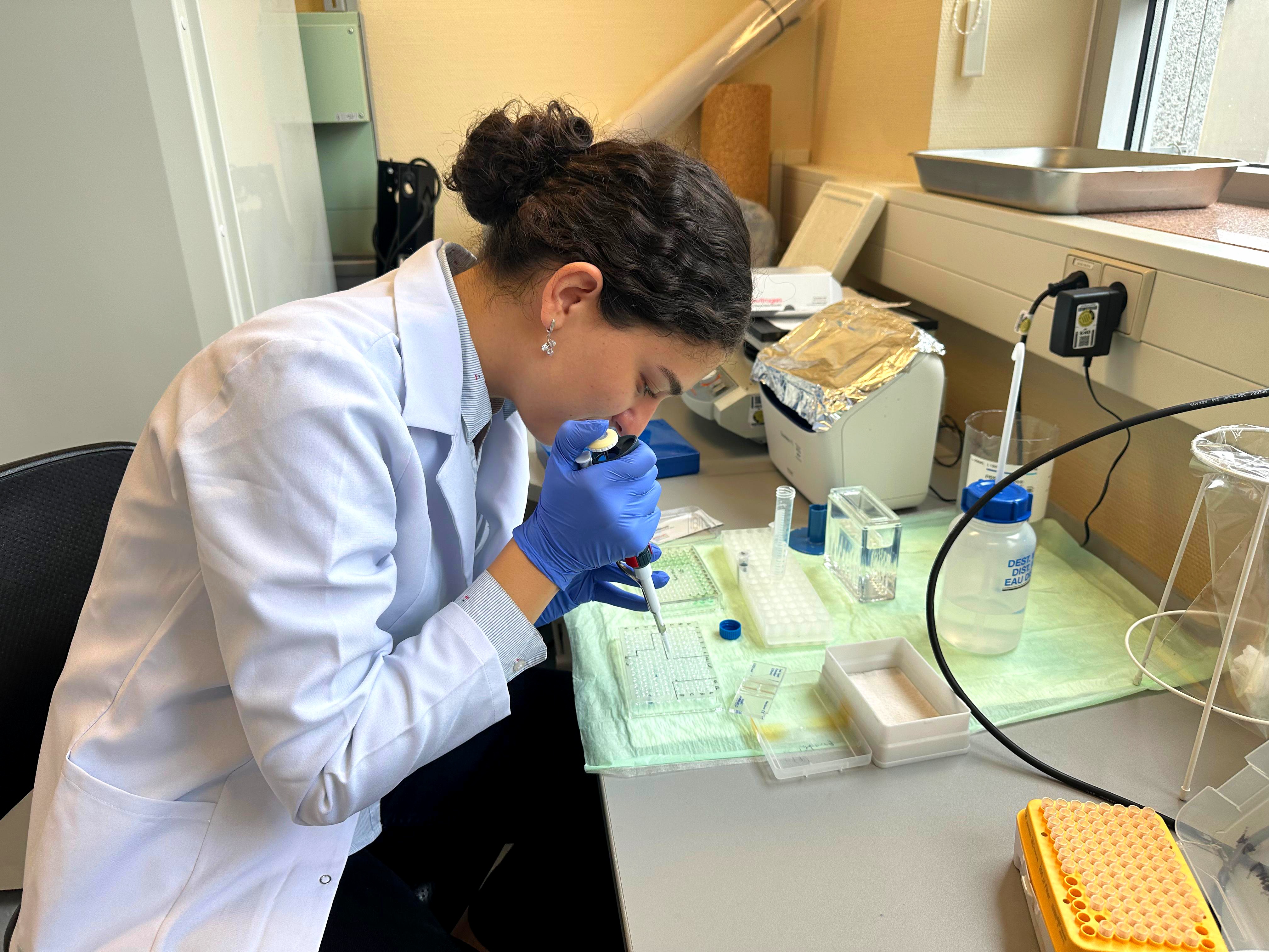 თბილისის სახელმწიფო სამედიცინო უნივერსიტეტი