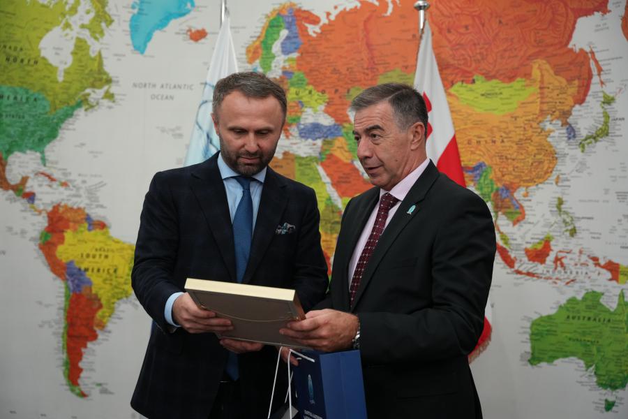 თბილისის სახელმწიფო სამედიცინო უნივერსიტეტი