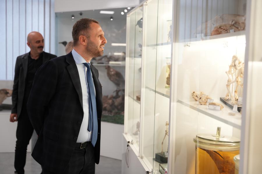 თბილისის სახელმწიფო სამედიცინო უნივერსიტეტი