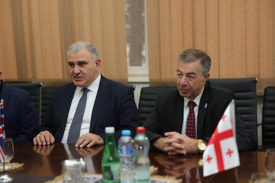 თბილისის სახელმწიფო სამედიცინო უნივერსიტეტი