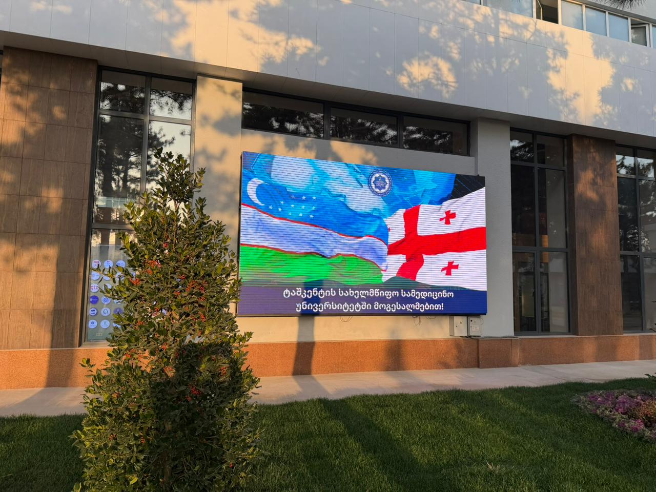 თბილისის სახელმწიფო სამედიცინო უნივერსიტეტი