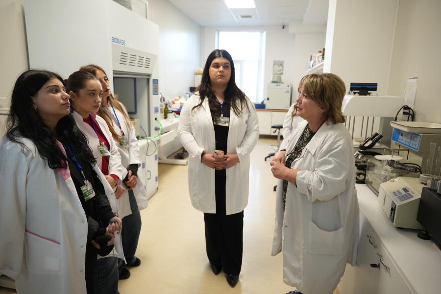 თბილისის სახელმწიფო სამედიცინო უნივერსიტეტი