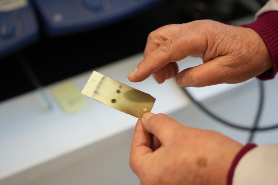 თბილისის სახელმწიფო სამედიცინო უნივერსიტეტი