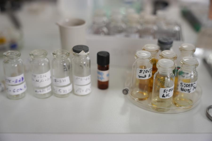 თბილისის სახელმწიფო სამედიცინო უნივერსიტეტი