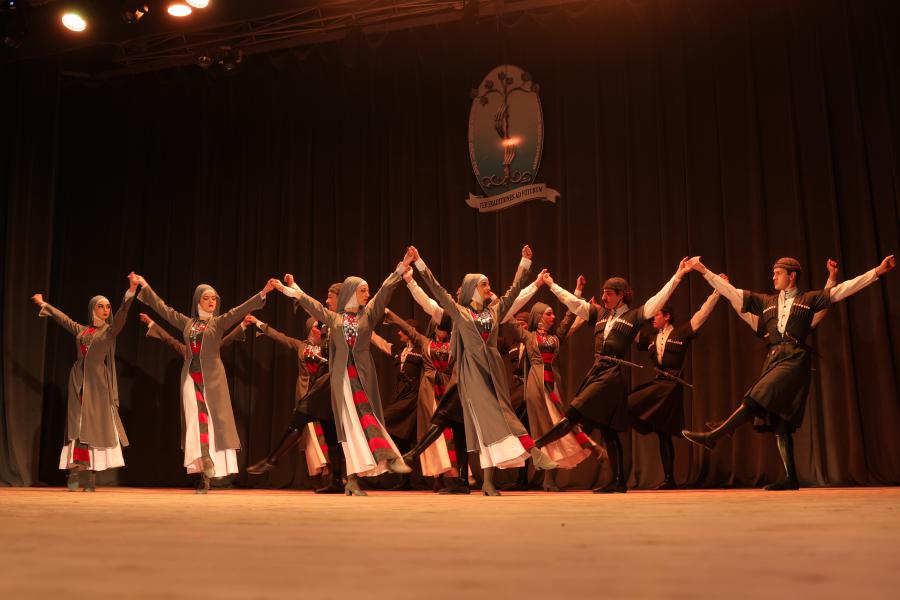 თბილისის სახელმწიფო სამედიცინო უნივერსიტეტი