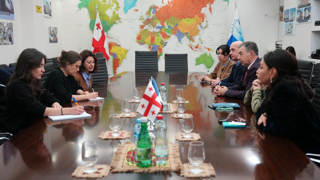 თბილისის სახელმწიფო სამედიცინო უნივერსიტეტი