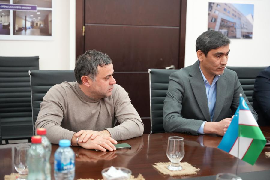 თბილისის სახელმწიფო სამედიცინო უნივერსიტეტი