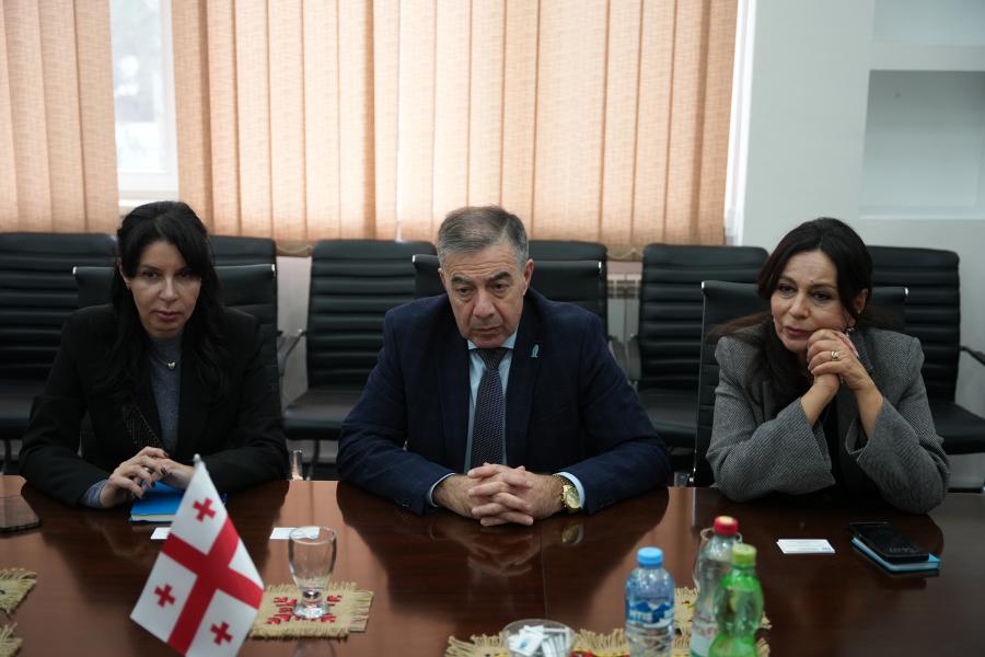 თბილისის სახელმწიფო სამედიცინო უნივერსიტეტი