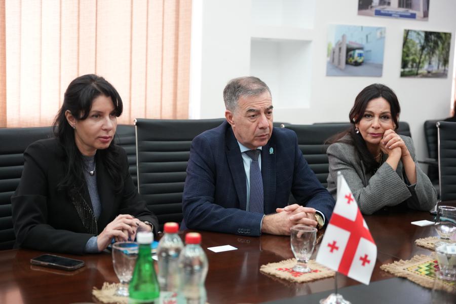 თბილისის სახელმწიფო სამედიცინო უნივერსიტეტი