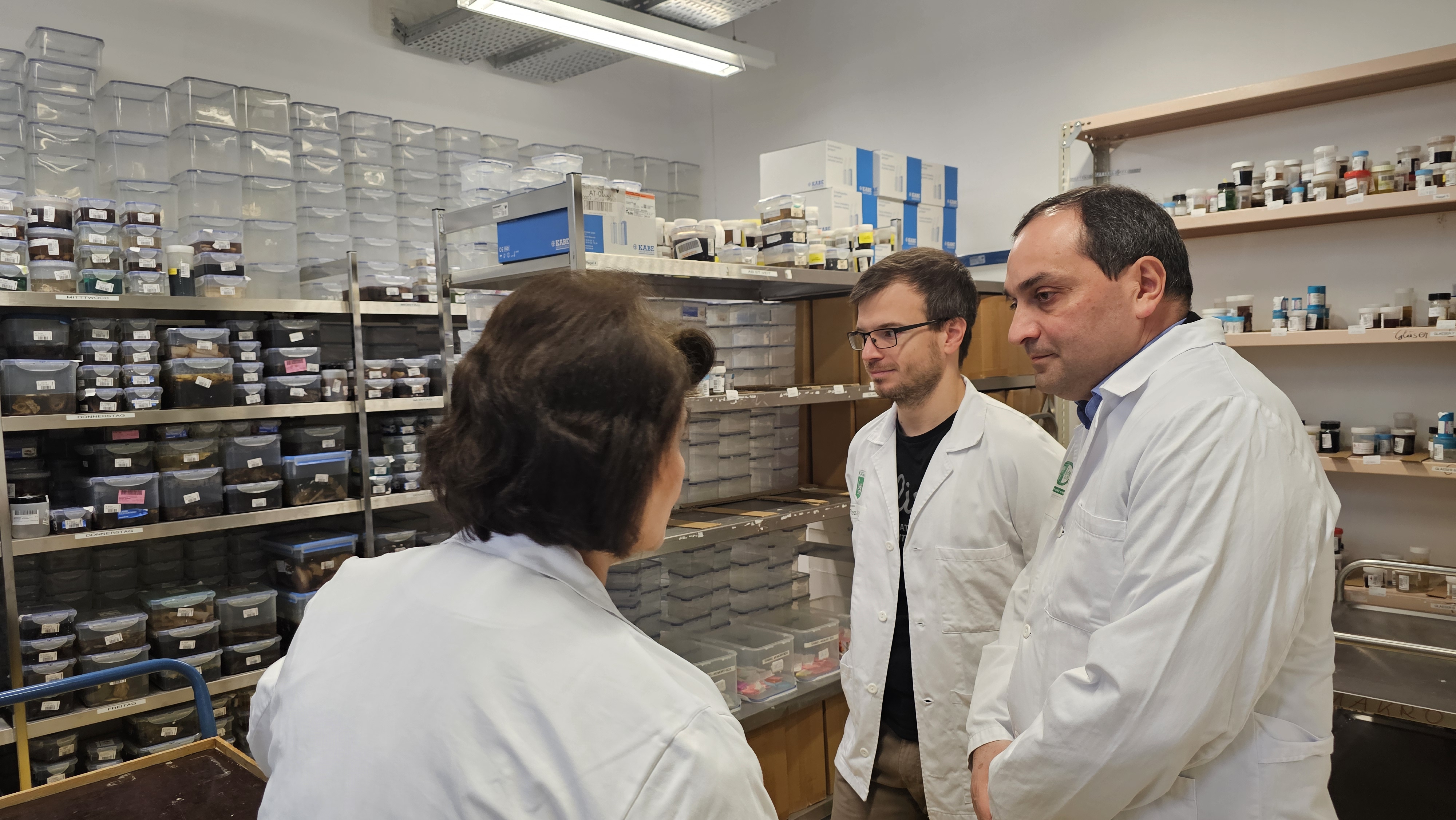 თბილისის სახელმწიფო სამედიცინო უნივერსიტეტი