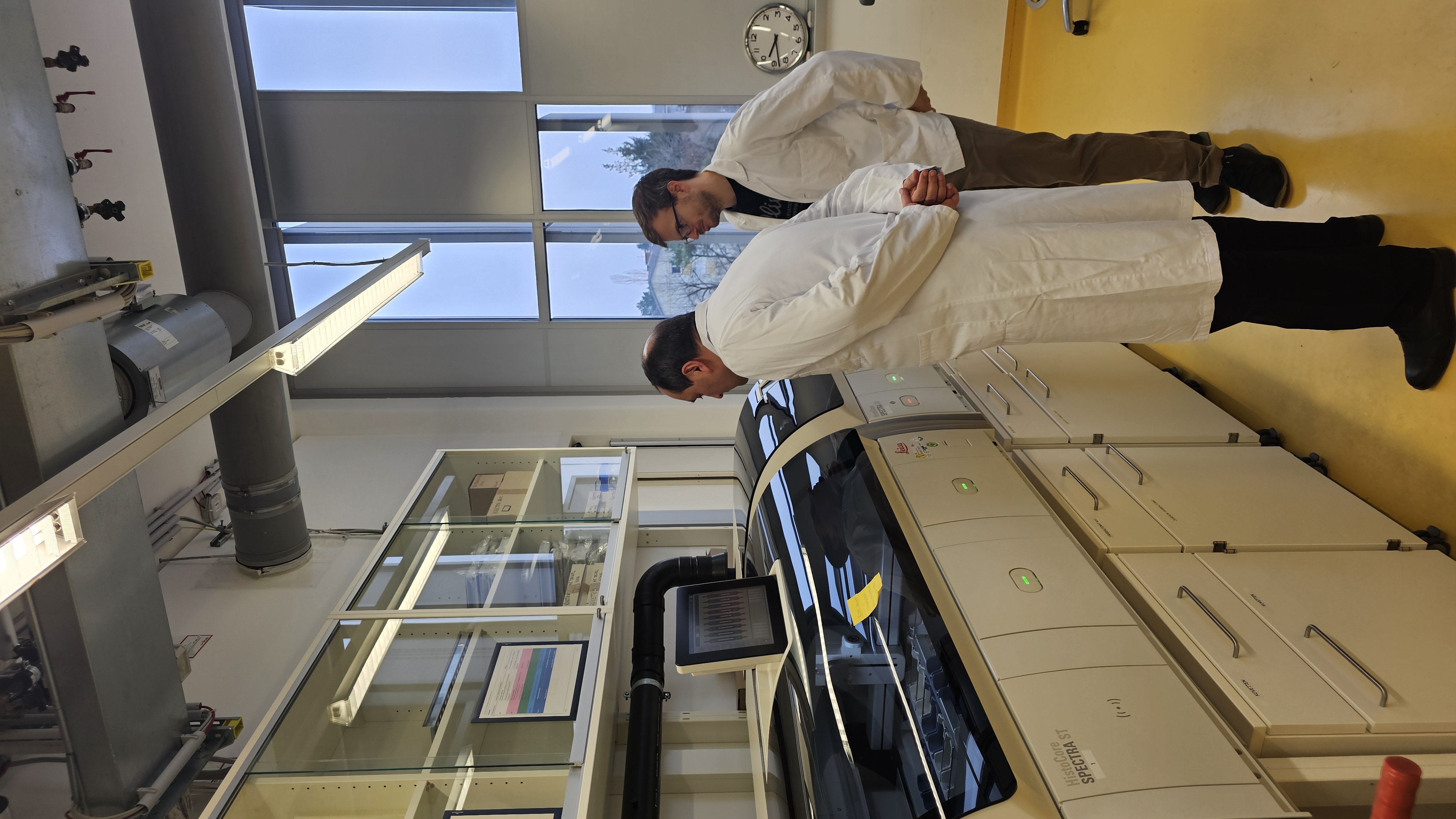 თბილისის სახელმწიფო სამედიცინო უნივერსიტეტი