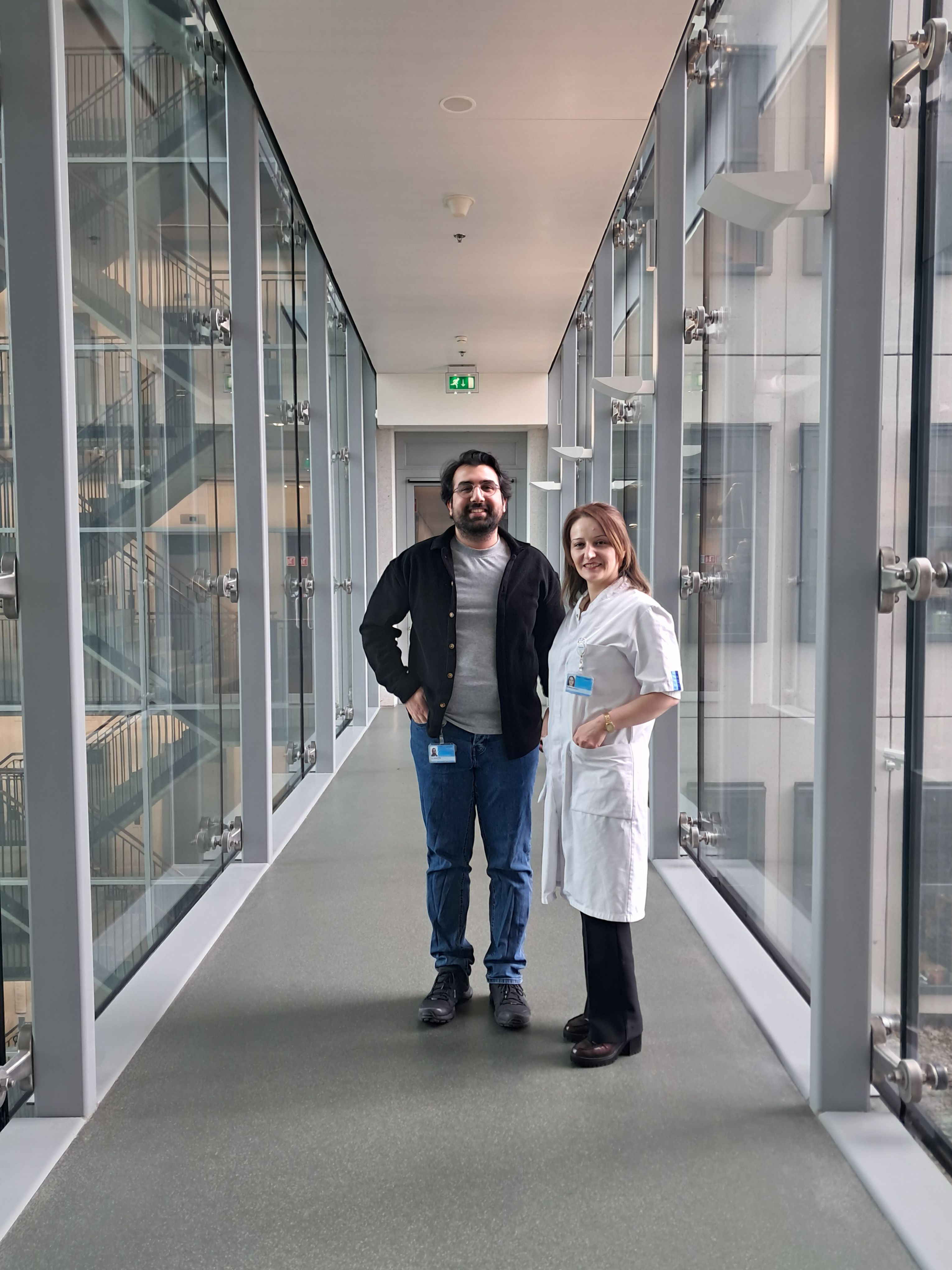 თბილისის სახელმწიფო სამედიცინო უნივერსიტეტი