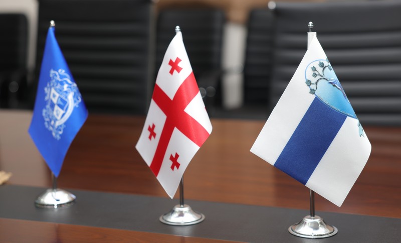 თბილისის სახელმწიფო სამედიცინო უნივერსიტეტი