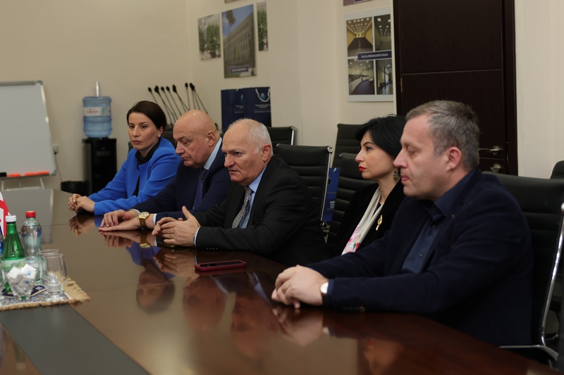 თბილისის სახელმწიფო სამედიცინო უნივერსიტეტი