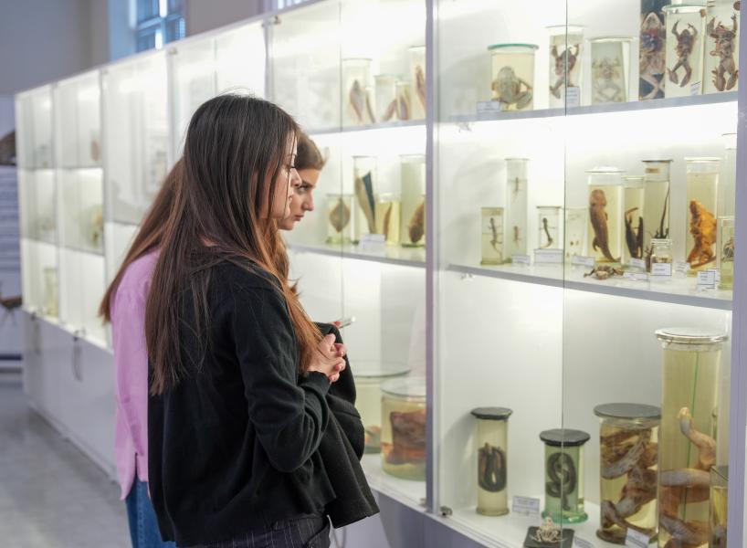 თბილისის სახელმწიფო სამედიცინო უნივერსიტეტი