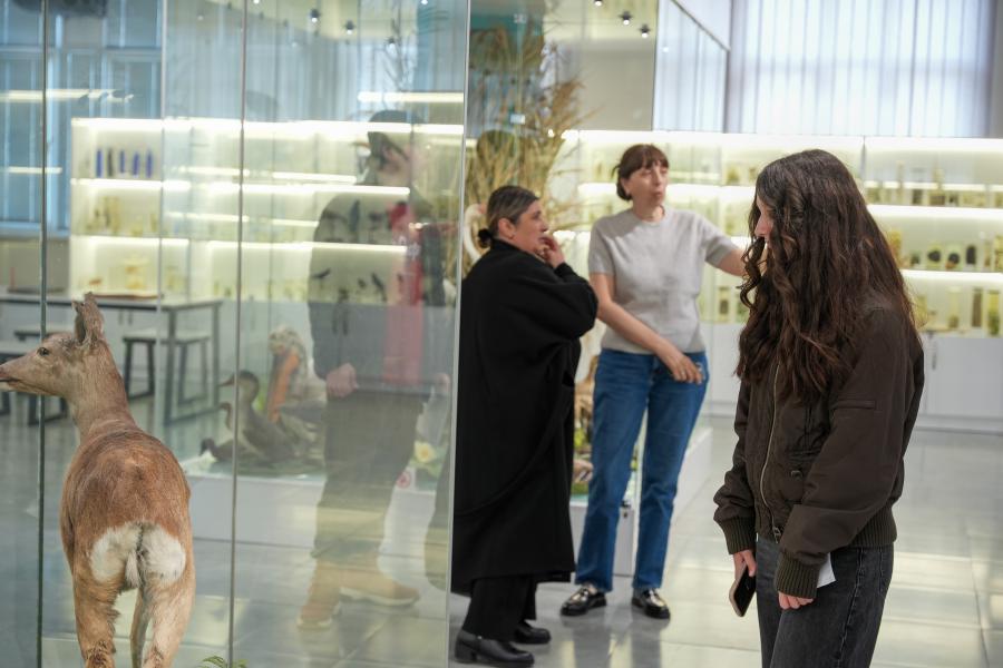 თბილისის სახელმწიფო სამედიცინო უნივერსიტეტი