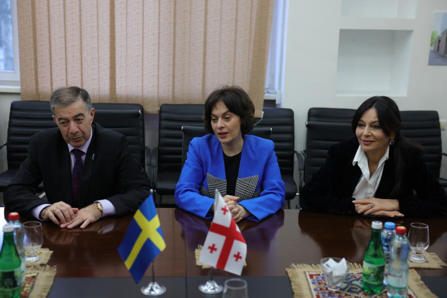 თბილისის სახელმწიფო სამედიცინო უნივერსიტეტი