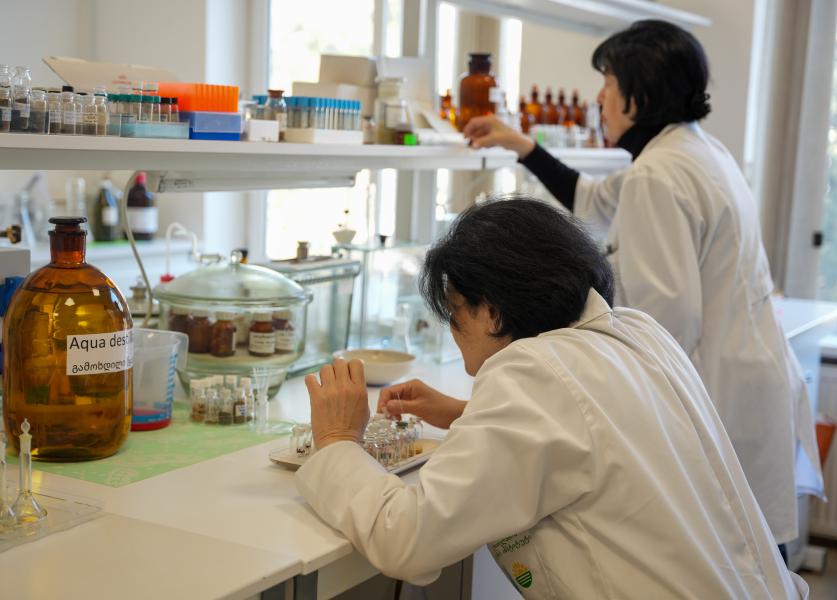 თბილისის სახელმწიფო სამედიცინო უნივერსიტეტი