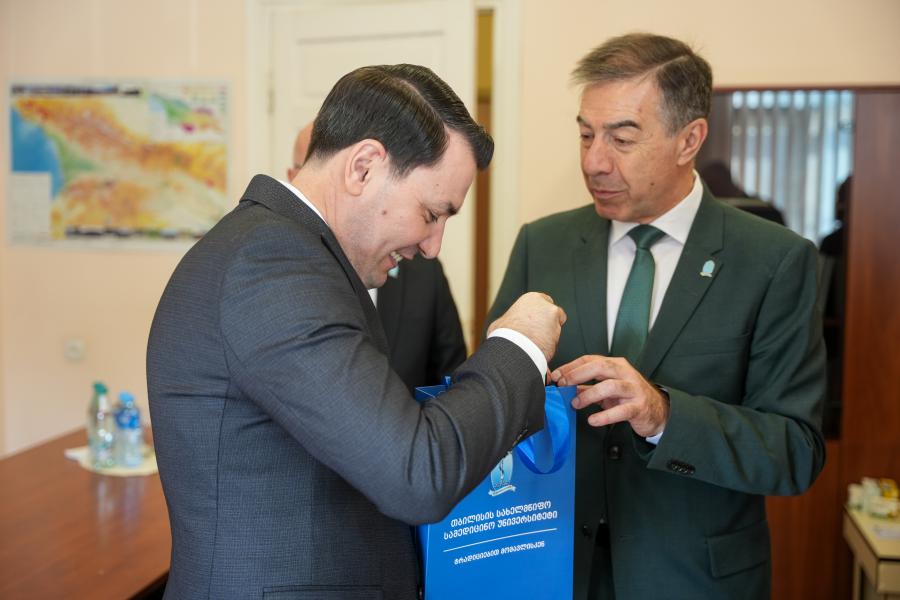 თბილისის სახელმწიფო სამედიცინო უნივერსიტეტი