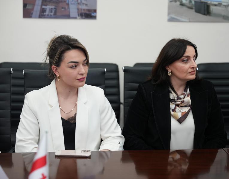 თბილისის სახელმწიფო სამედიცინო უნივერსიტეტი