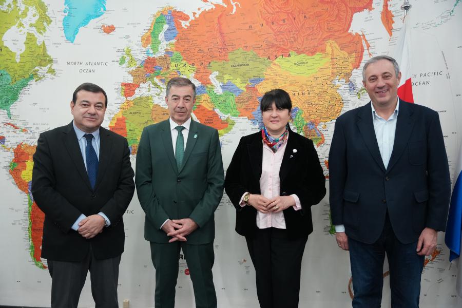 თბილისის სახელმწიფო სამედიცინო უნივერსიტეტი