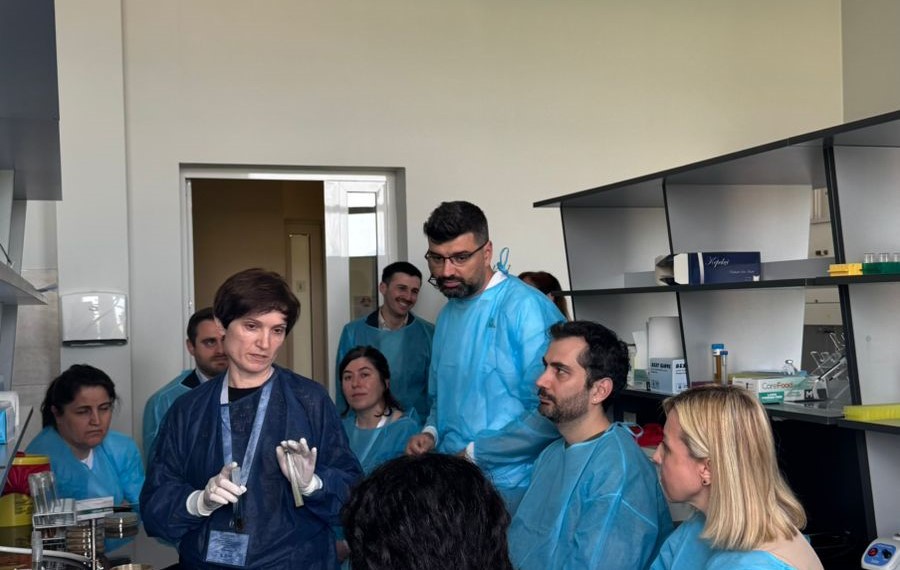 თბილისის სახელმწიფო სამედიცინო უნივერსიტეტი