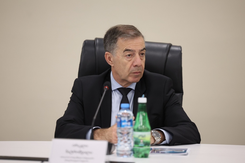 თბილისის სახელმწიფო სამედიცინო უნივერსიტეტი