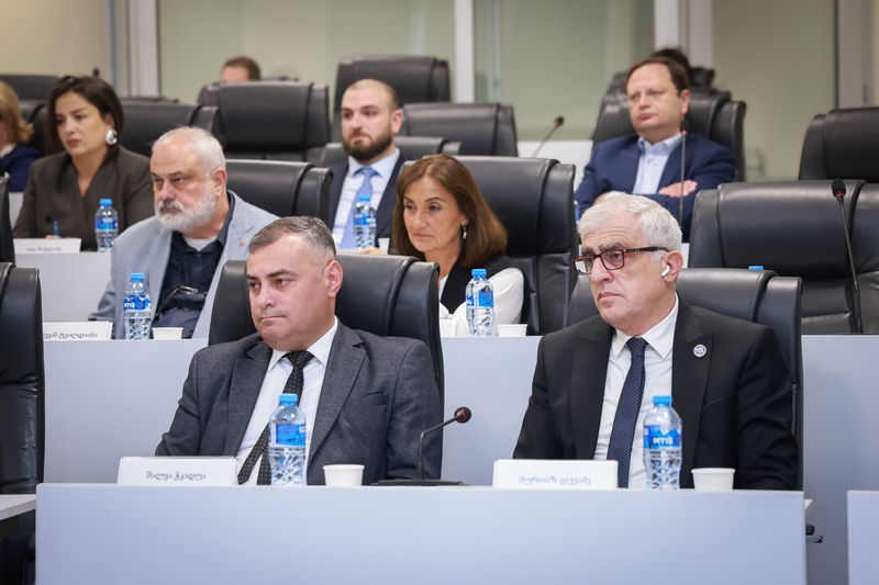 თბილისის სახელმწიფო სამედიცინო უნივერსიტეტი
