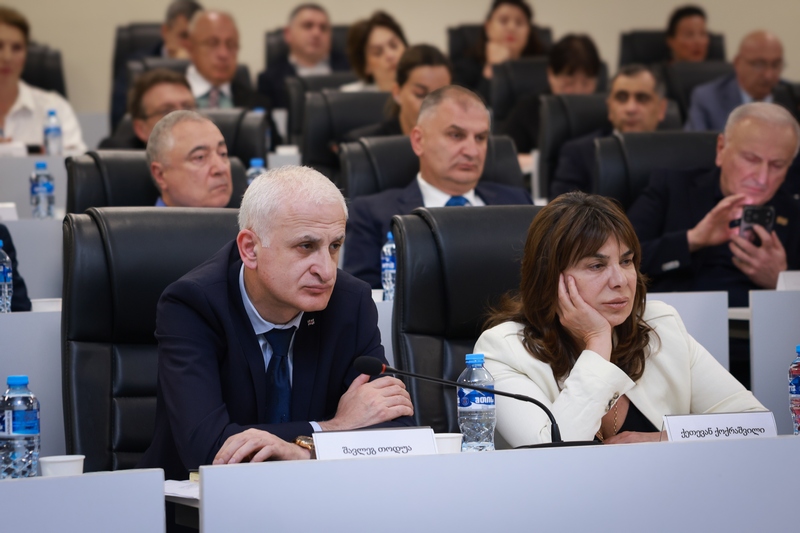 თბილისის სახელმწიფო სამედიცინო უნივერსიტეტი