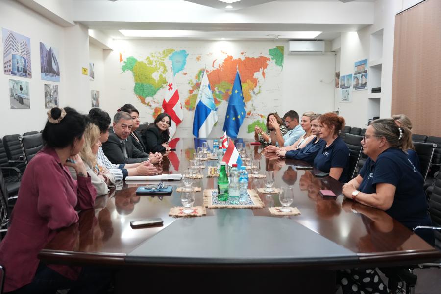 თბილისის სახელმწიფო სამედიცინო უნივერსიტეტი