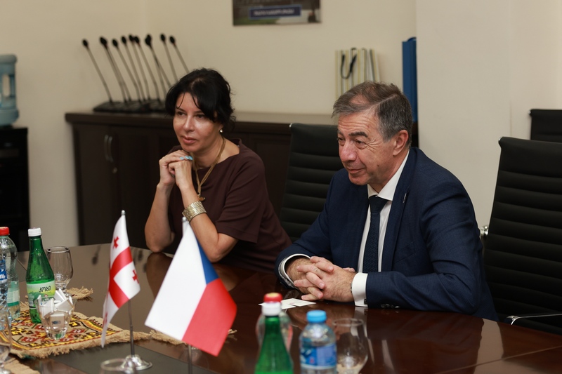 თბილისის სახელმწიფო სამედიცინო უნივერსიტეტი