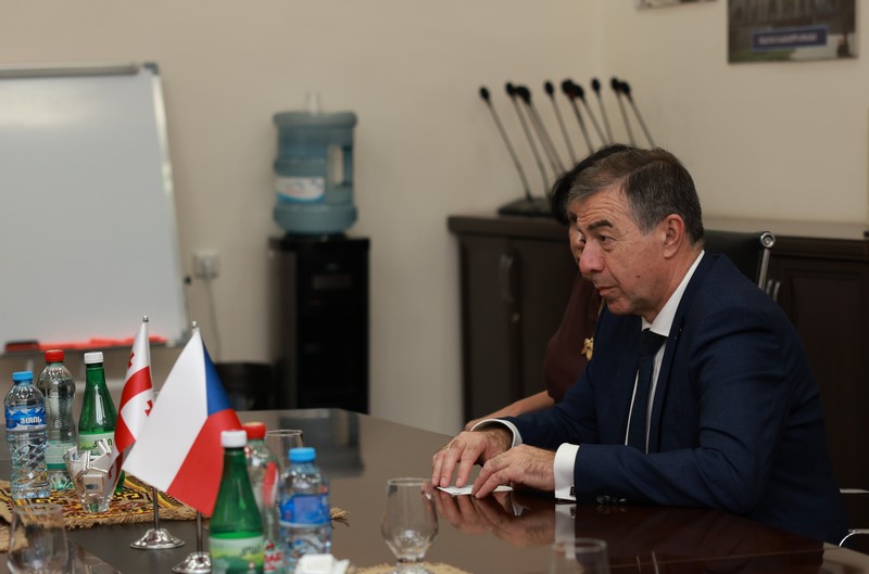 თბილისის სახელმწიფო სამედიცინო უნივერსიტეტი