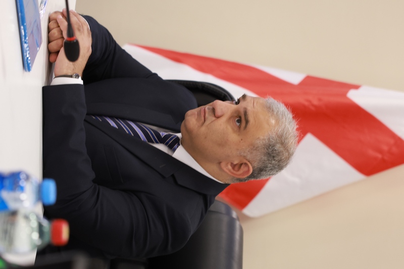 თბილისის სახელმწიფო სამედიცინო უნივერსიტეტი