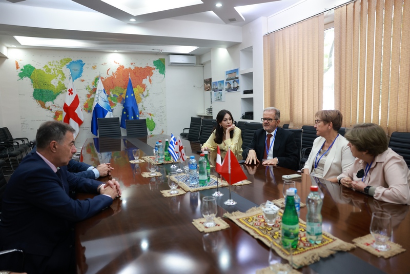 თბილისის სახელმწიფო სამედიცინო უნივერსიტეტი