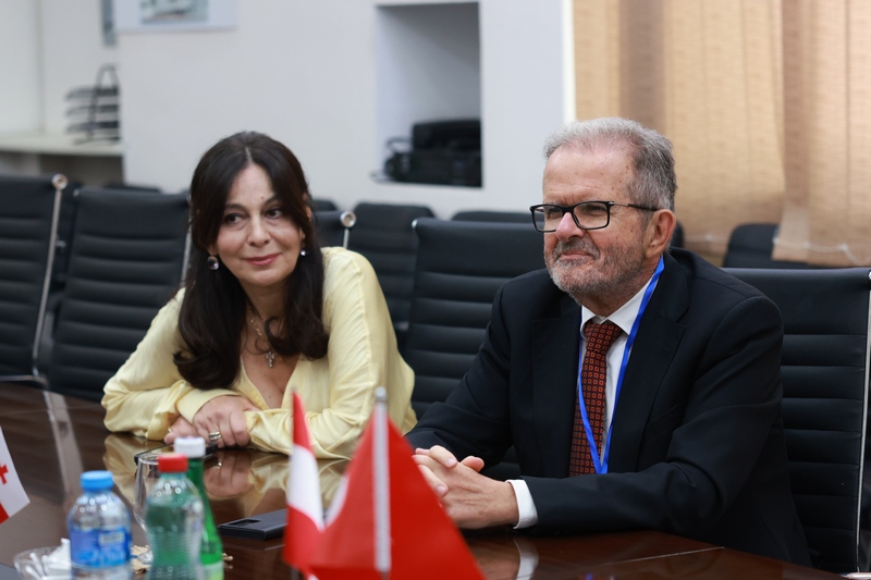 თბილისის სახელმწიფო სამედიცინო უნივერსიტეტი