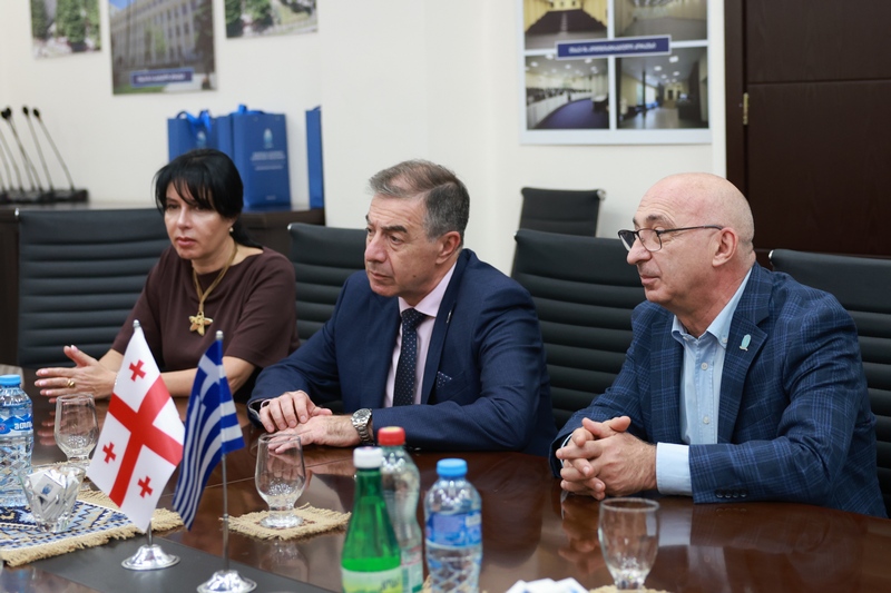 თბილისის სახელმწიფო სამედიცინო უნივერსიტეტი