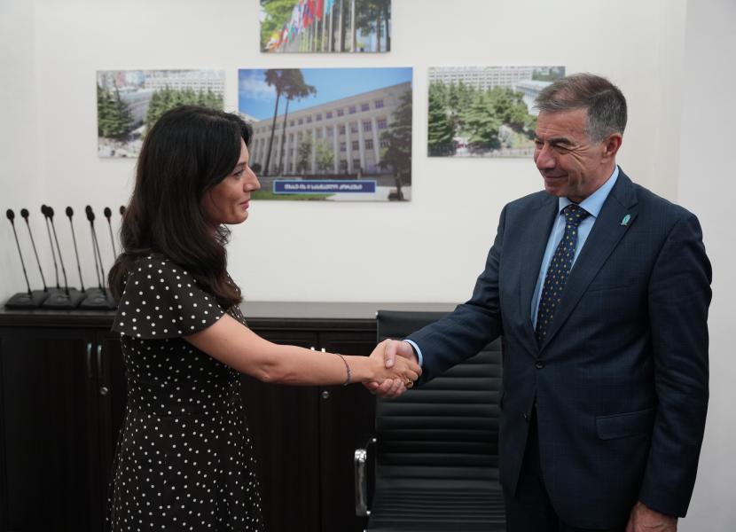 თბილისის სახელმწიფო სამედიცინო უნივერსიტეტი
