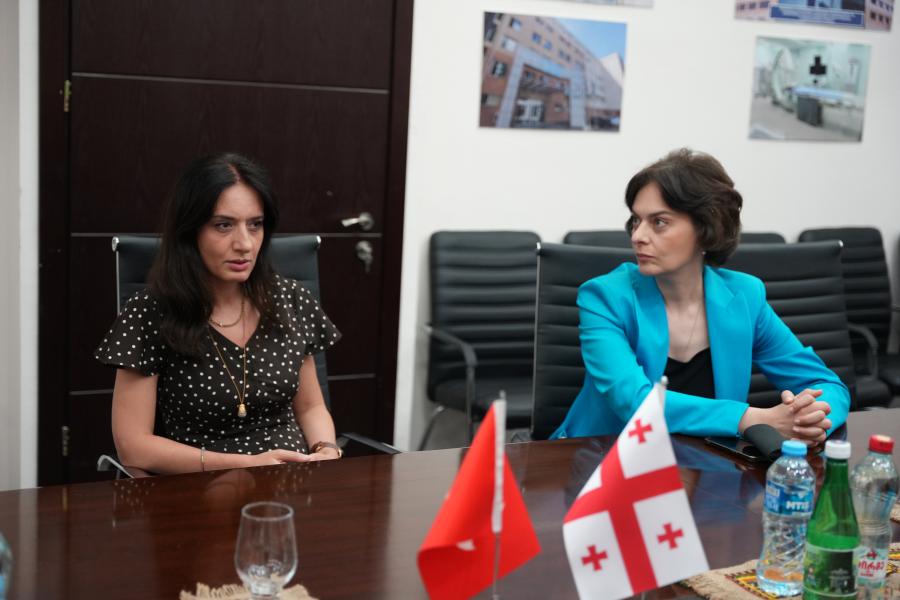 თბილისის სახელმწიფო სამედიცინო უნივერსიტეტი