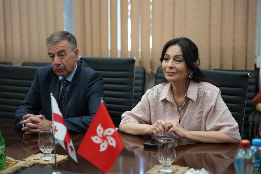 თბილისის სახელმწიფო სამედიცინო უნივერსიტეტი
