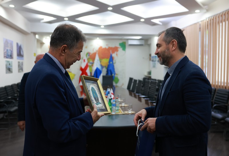 თბილისის სახელმწიფო სამედიცინო უნივერსიტეტი