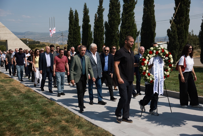 თბილისის სახელმწიფო სამედიცინო უნივერსიტეტი