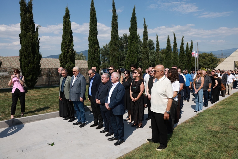 თბილისის სახელმწიფო სამედიცინო უნივერსიტეტი