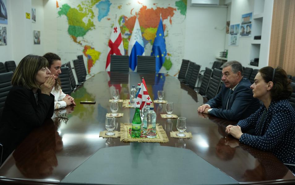 თბილისის სახელმწიფო სამედიცინო უნივერსიტეტი