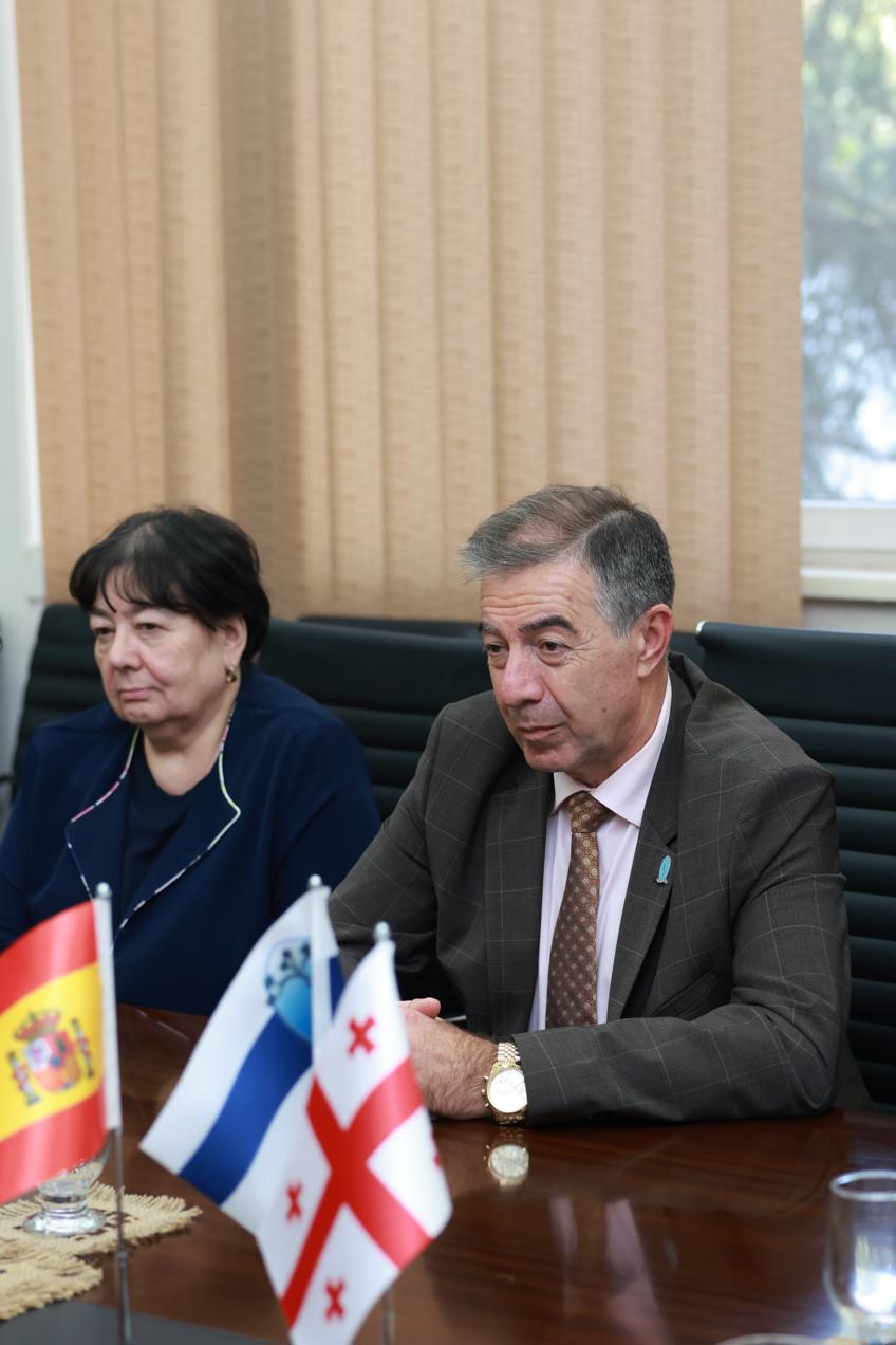 თბილისის სახელმწიფო სამედიცინო უნივერსიტეტი