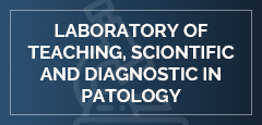 Laboratory of teaching, scientific end diagnostic in patology