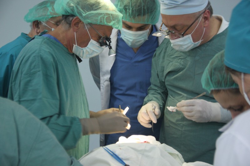დუისბურგის (გერმანია) ყბა-სახის პლასტიკური ქირურგიისა და იმპლანტოლოგიური კლინიკის პროფესორების ლექციები, კონსულტაციები და ოპერაციები თსსუ–ში