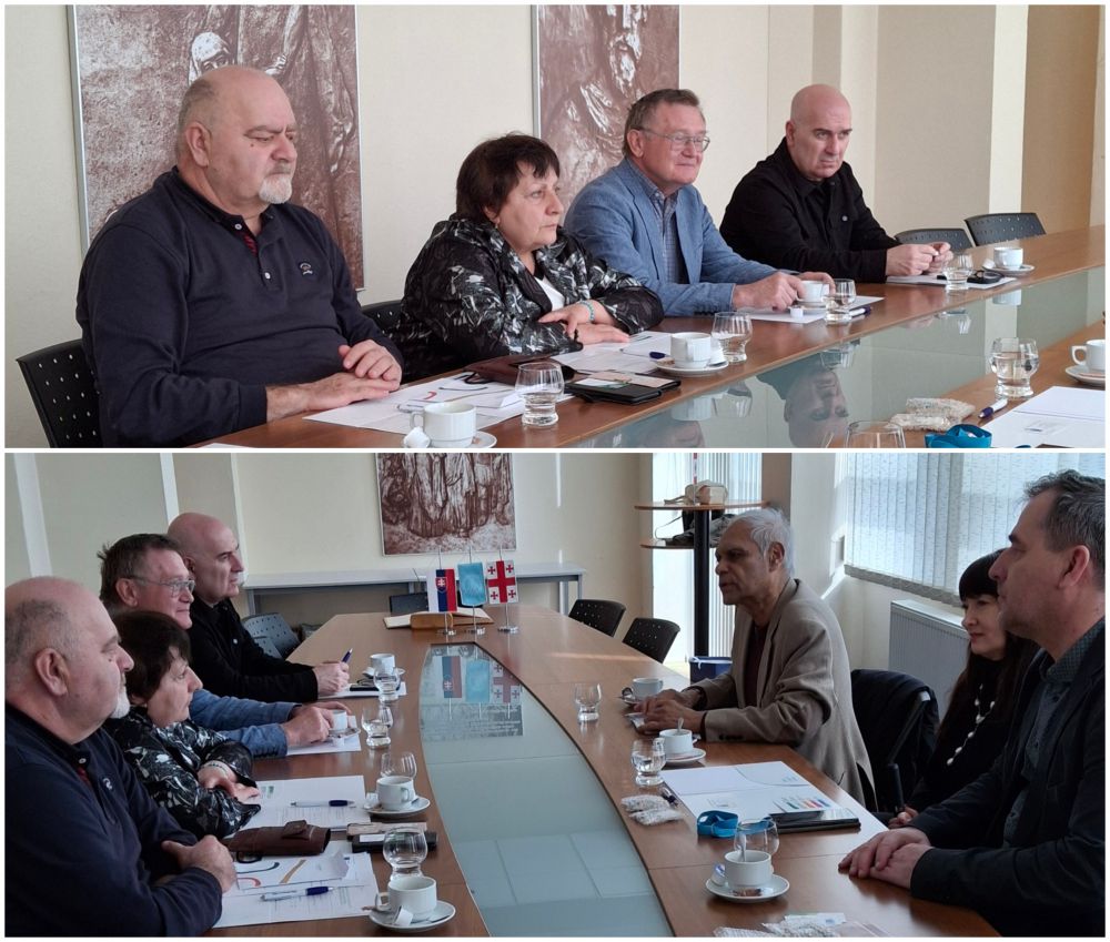 თბილისის სახელმწიფო სამედიცინო უნივერსიტეტის დელეგაცია სლოვაკეთში - ციფრული ჯანდაცვის სამაგისტრო პროგრამის განვითარების პერსპექტივები