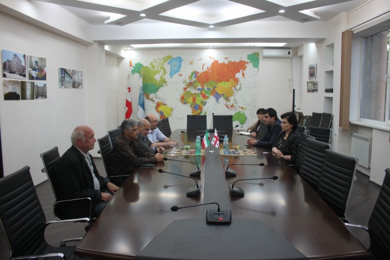 The delegation of Islamic Republic of Iran at Tbilisi State Medical University