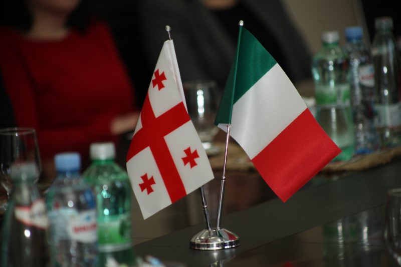 Tbilisi State Medical University hosted an Italian delegation